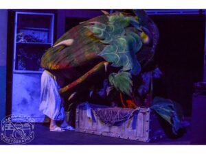 HWP_1580